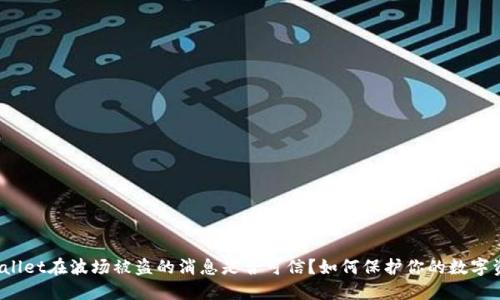 TPWallet在波场被盗的消息是否可信?如何保护你的数字资产?